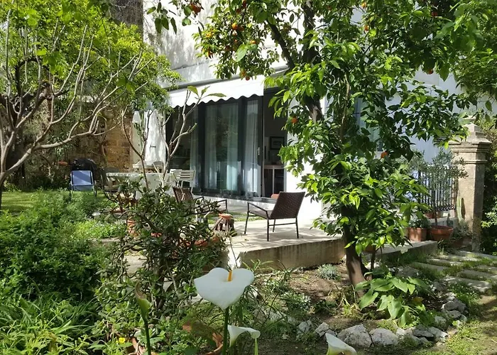 Nel Giardino Degli Agrumi Palermo