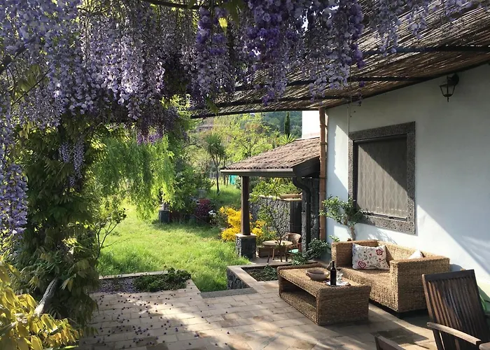 Alberto Mt Etna B&B&Holiday rentals Zafferana Etnea